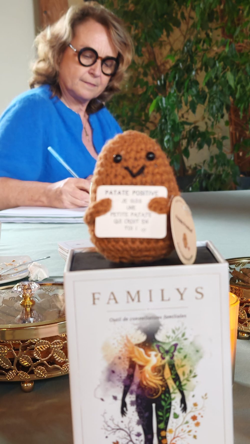 Caroline Lardé en séance individuelle avec le jeu Familys